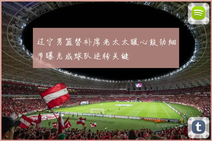 辽宁男篮替补席老太太暖心鼓劲细节曝光成球队逆转关键