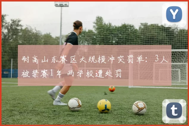耐高山东赛区大规模冲突罚单:3人被禁赛1年 两学校遭处罚