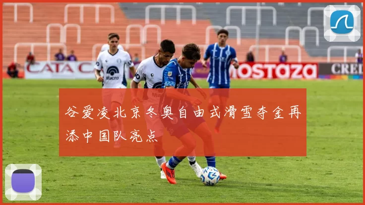 谷爱凌北京冬奥自由式滑雪夺金再添中国队亮点