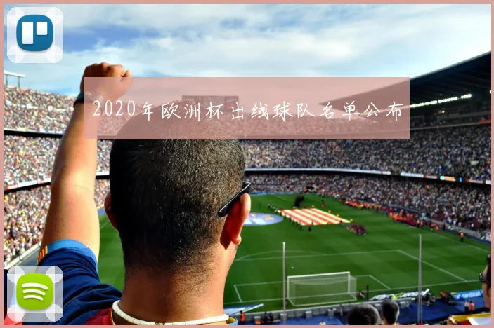 2020年欧洲杯出线球队名单公布