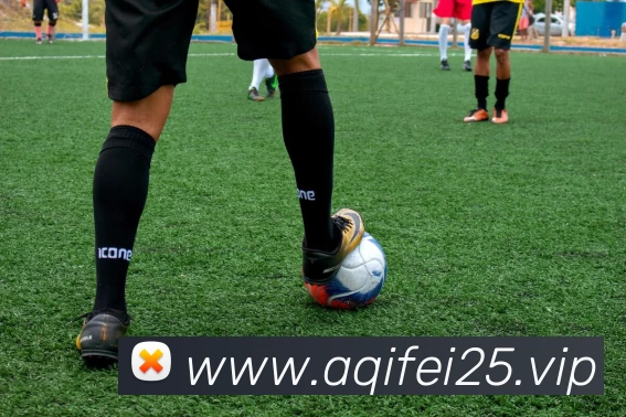 开云·kaiyun体育(中国大陆)官方网站 登录入口服务体系